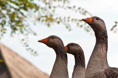 Similar image 359222