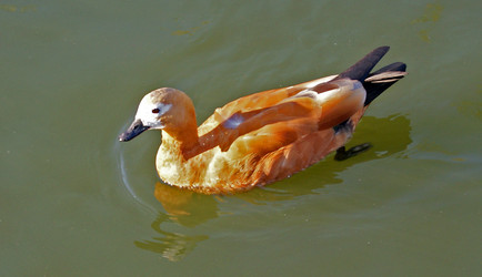 Similar image 359224