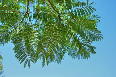 Similar image 359233