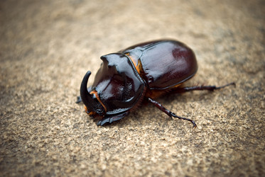 Similar image 359294