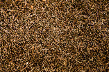 Similar image 359362