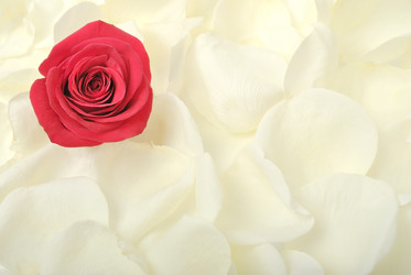 Similar image 359382