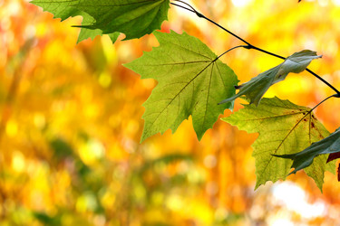 Similar image 359384