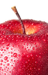 Similar image 359393