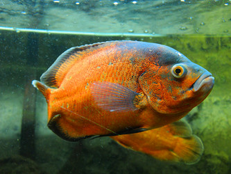 Similar image 359426