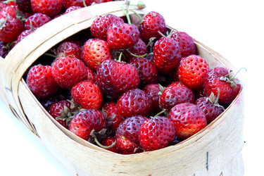 Similar image 359431