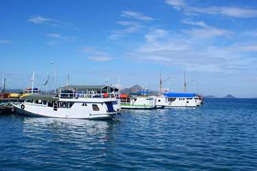 Similar image 359442