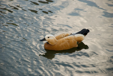 Similar image 359444