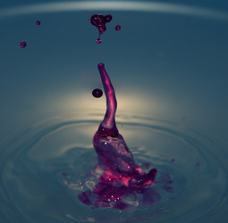 Similar image 359453