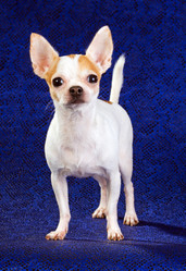 Similar image 359462