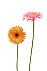 Similar image 359465