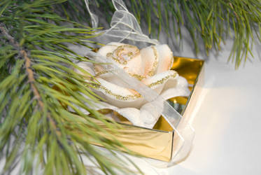 Similar image 359478