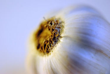 Similar image 359495