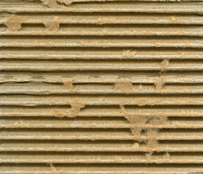 Similar image 359496