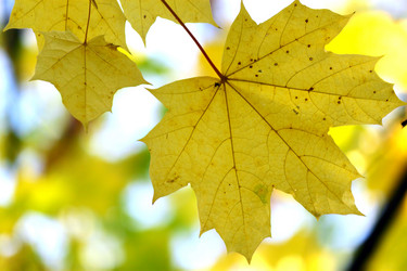 Similar image 359552