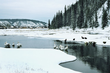 Similar image 359575