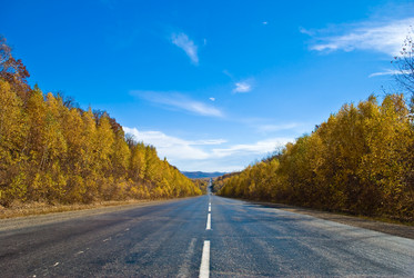 Similar image 359609