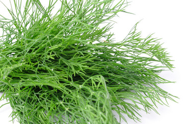 Similar image 359629