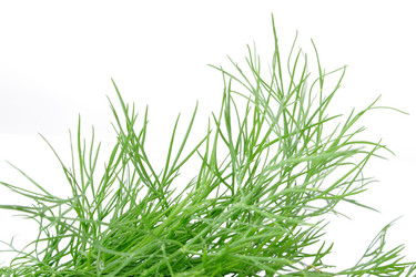 Similar image 359630