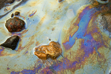 Similar image 359633