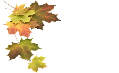 Similar image 359646