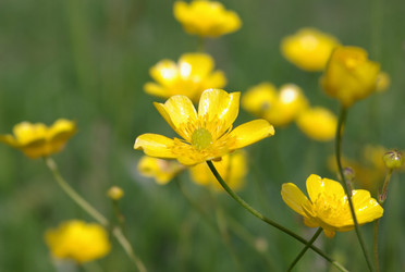 Similar image 359691