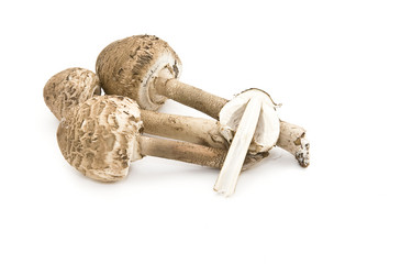 Similar image 359697