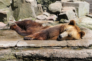 Similar image 359730