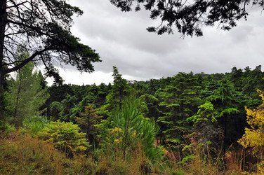 Similar image 359814