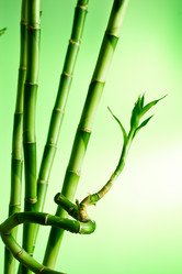 Similar image 359851