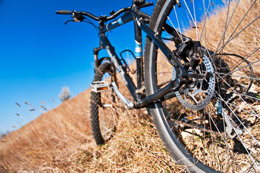 Similar image 359862