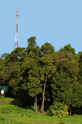 Similar image 359885