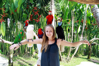 Similar image 359898