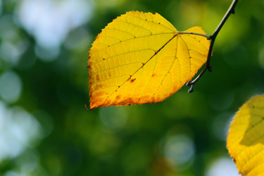 Similar image 359921