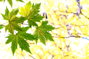 Similar image 359959