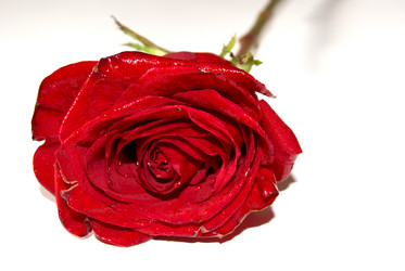 Similar image 359967