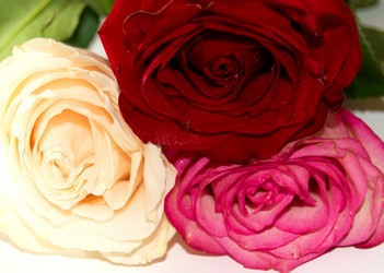 Similar image 359974