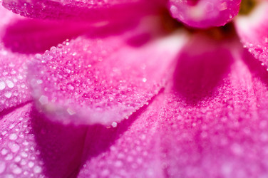 Similar image 359987