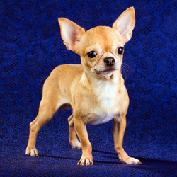 Similar image 359991