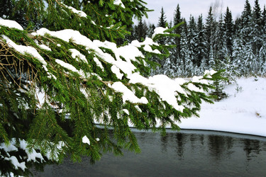 Similar image 360017