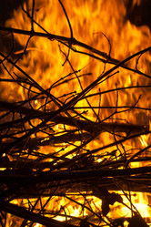 Similar image 360030