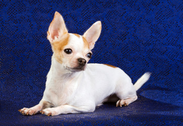 Similar image 360039