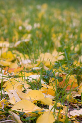 Similar image 360055