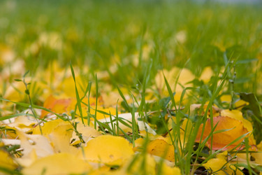 Similar image 360057