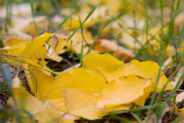 Similar image 360058