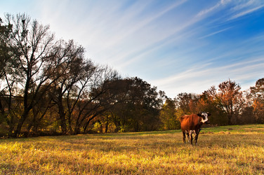 Similar image 360061