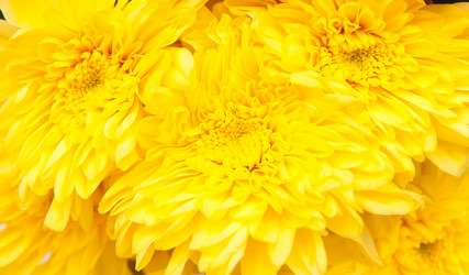 Similar image 360065