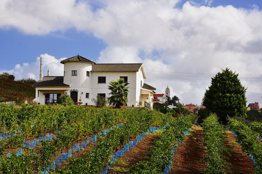 Similar image 360067