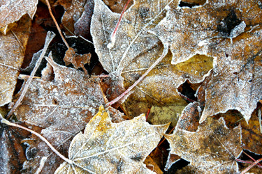 Similar image 360069