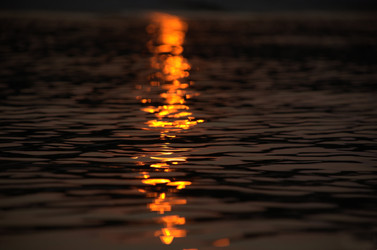 Similar image 360083